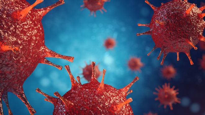 Photo of New examine unearths puppies are 97% correct while sniffing out lung cancer