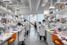 Photo of Harvard Scientists Make ‘Landmark’ Discovery in Synthesizing Anti-Cancer Molecules Found in Sea Sponges
