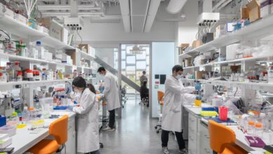 Photo of Harvard Scientists Make ‘Landmark’ Discovery in Synthesizing Anti-Cancer Molecules Found in Sea Sponges