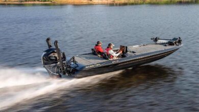 Photo of What to recognise approximately skeeter syndrome