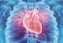 Photo of Heart disease will have long-term effect on the brain, look at says