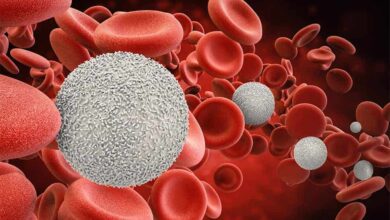 Photo of Treatments at the Horizon for Cancers Linked to Epstein-Barr Virus