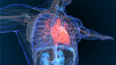 Photo of To lower coronary heart disorder danger, switch beef for beans