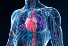 Photo of Improving Vascular Health with Vasculera