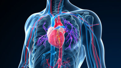 Photo of Improving Vascular Health with Vasculera